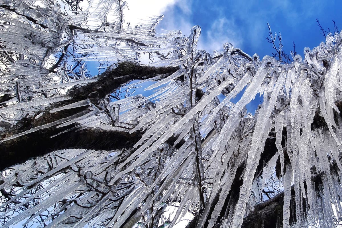 Freak cold snap brings snowfall to southern Brazil