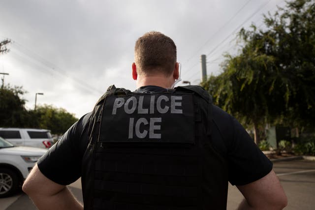 <p>Immigration and Customs Enforcement (ICE) requires migrants to test negative for the coronavirus before boarding a deportation flight</p>