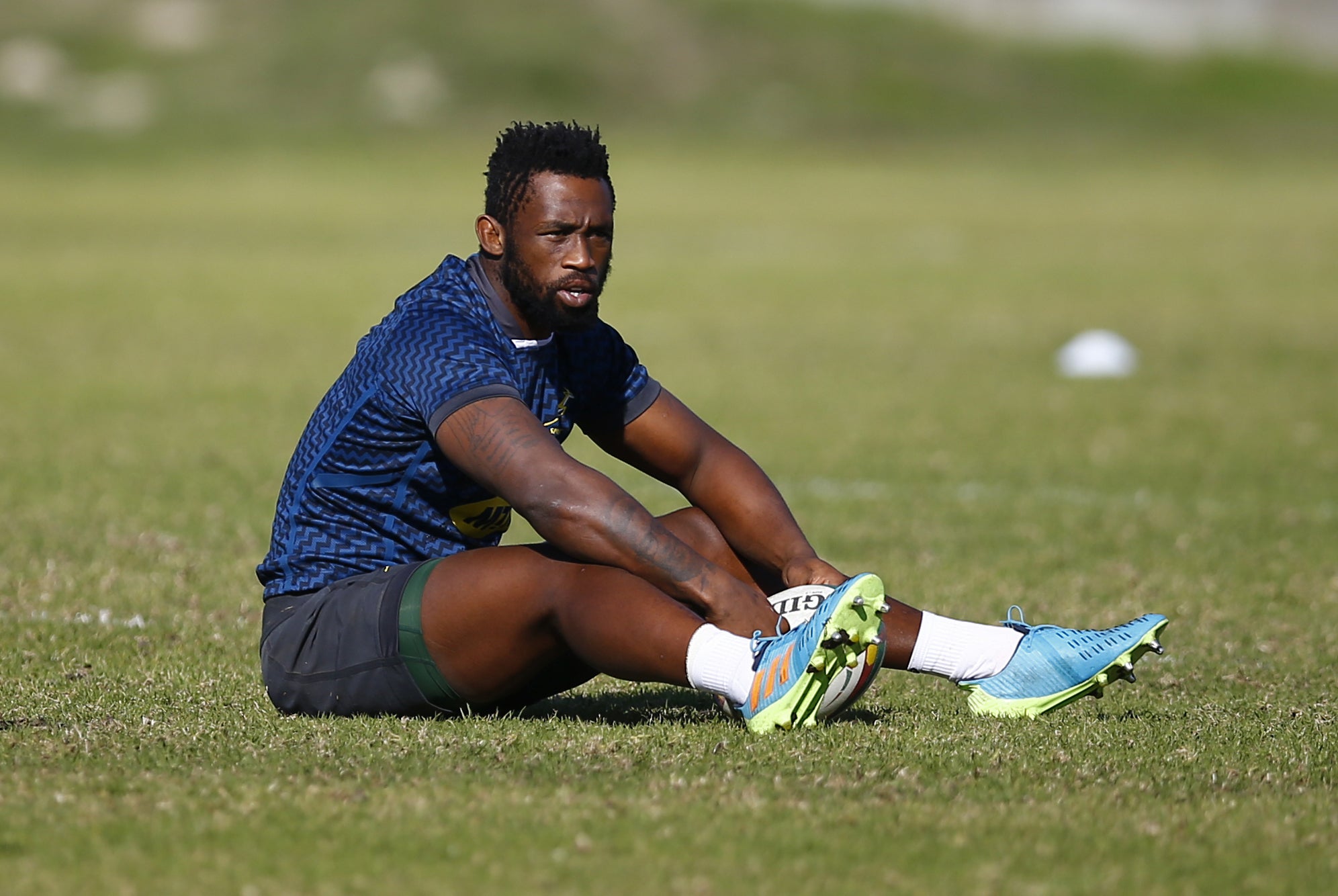 Rassie Erasmus has been unhappy with referee treatment of Siya Kolisi, pictured, in the British and Irish Lions series (Steve Haag)