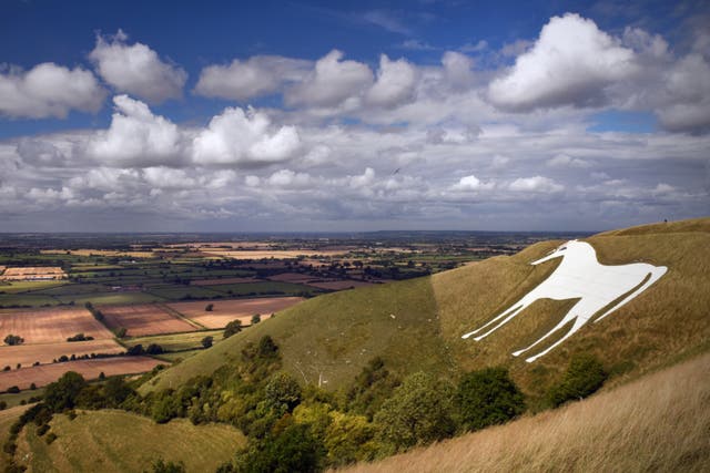 <p>Westbury is famed for its White Horse</p>
