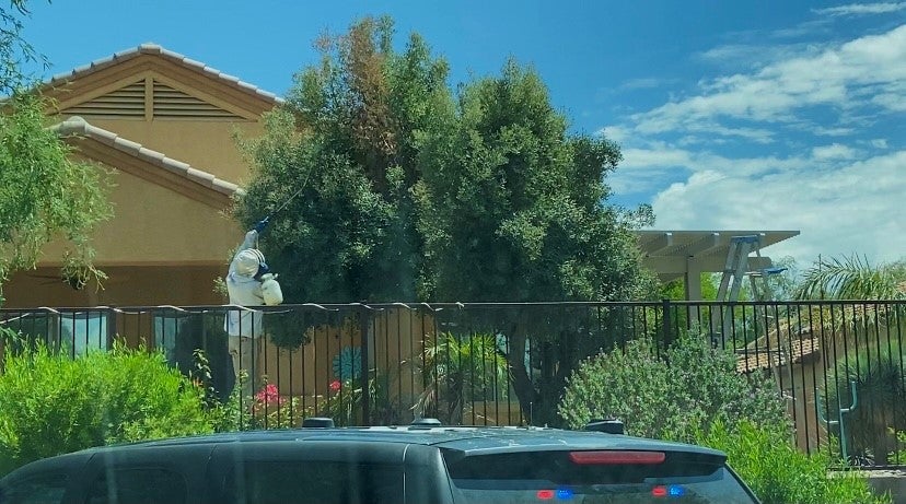 <p>A bee hive was disturbed at this Arizona property which led to them sting five people, one of whom died to his injuries. </p>