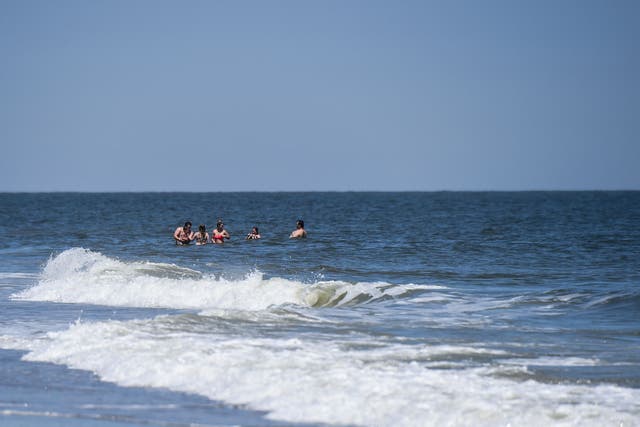 <p>Tybee Island, Georgia, where a shark bit a surfing instructor earlier this week.</p>