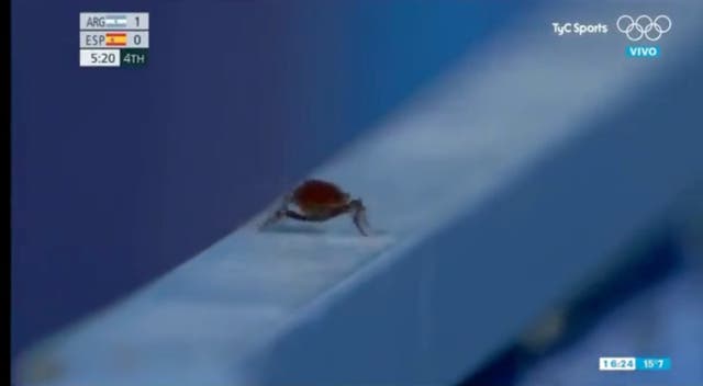 <p>Bored TV cameraman under fire for cutting away from olympic hockey to film cockroach</p>