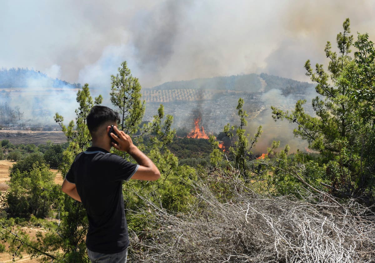 Majority of Turkey wildfires under control, official says
