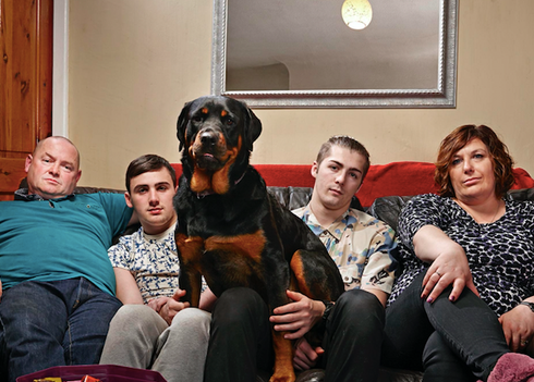 Gogglebox's Malone family announces death of fan-favourite Rottweiler Dave - Vimarsana News