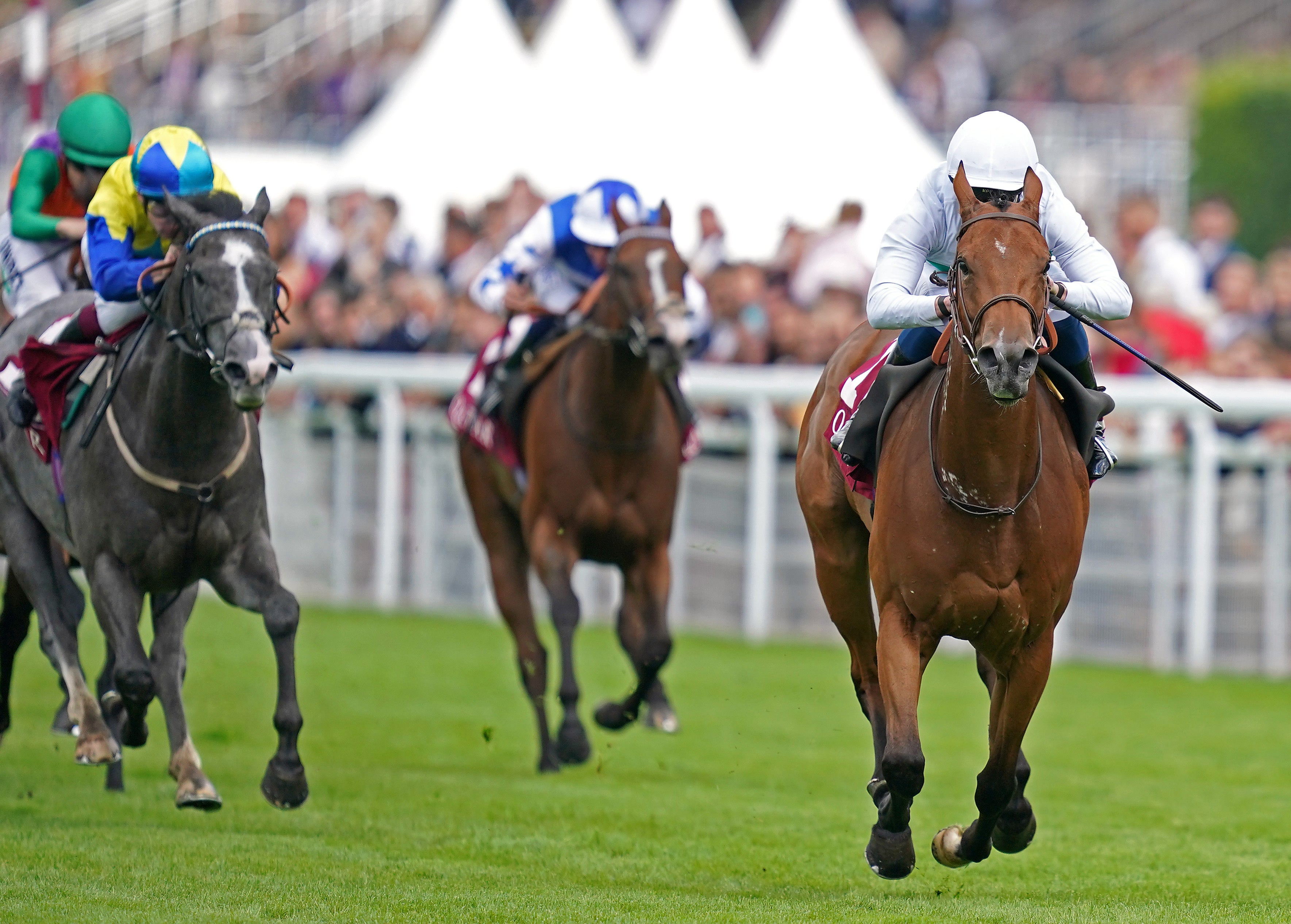 Suesa, ridden by William Buick, powered to victory in the King George Qatar Stakes at Goodwood (John Walton/PA)