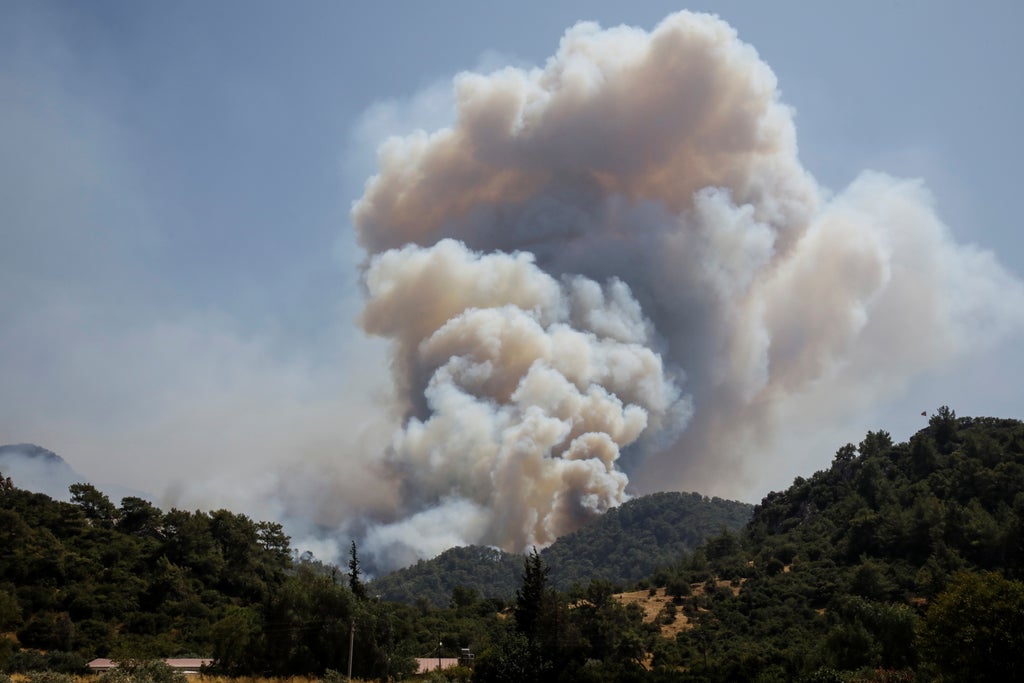 Turkey, Greece and Italy wildfires latest news: Deadly blazes sweep Europe holiday resorts