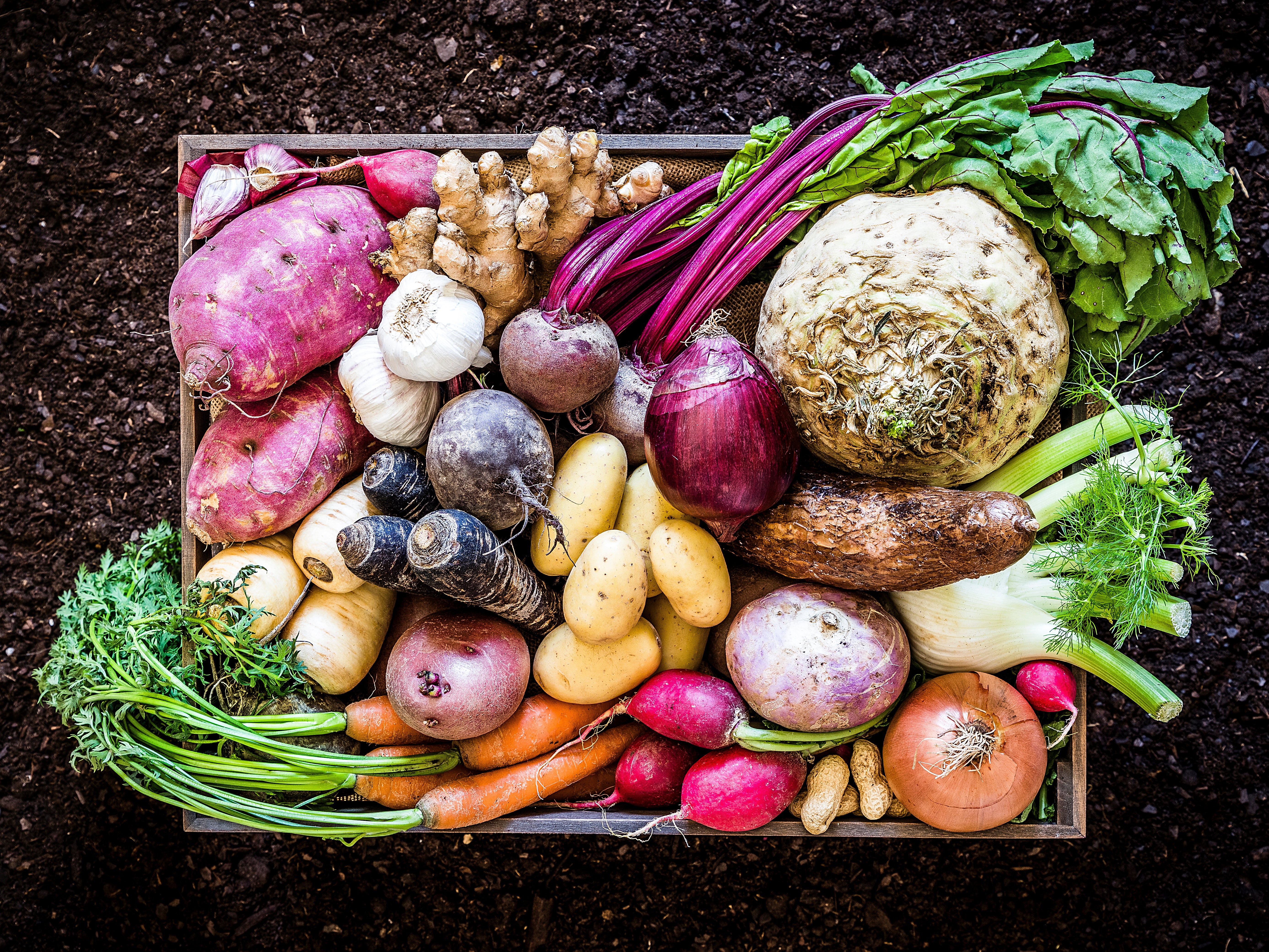 A new report shows shifting to a more plant-based diet is instrumental in improving both the health of humans and the planet