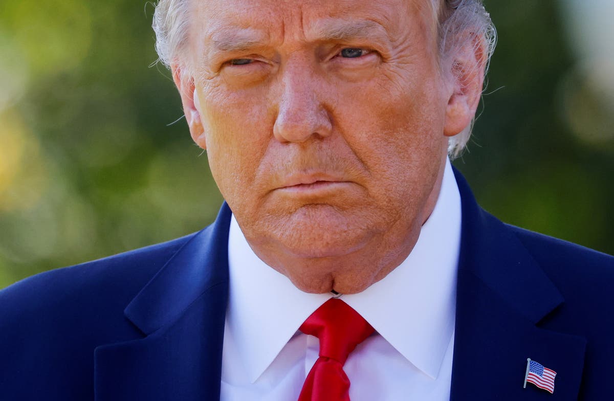 Colonel describes hearing damning phone call that led to Trump’s first impeachment: ‘I could hardly believe it’