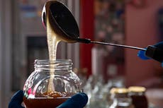 TikTokers warned against dangerous trend of eating frozen honey