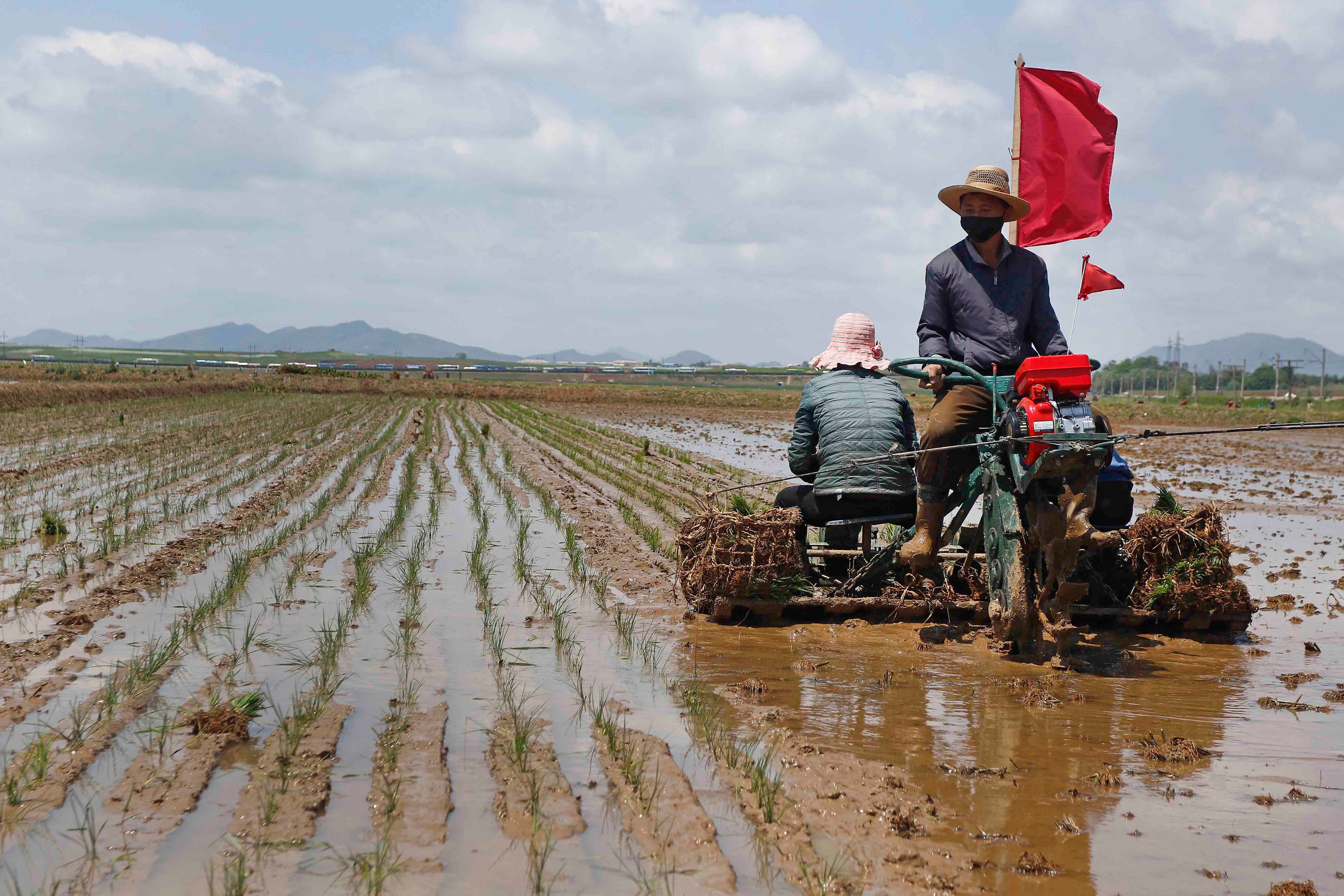 North Korea Food Shortage