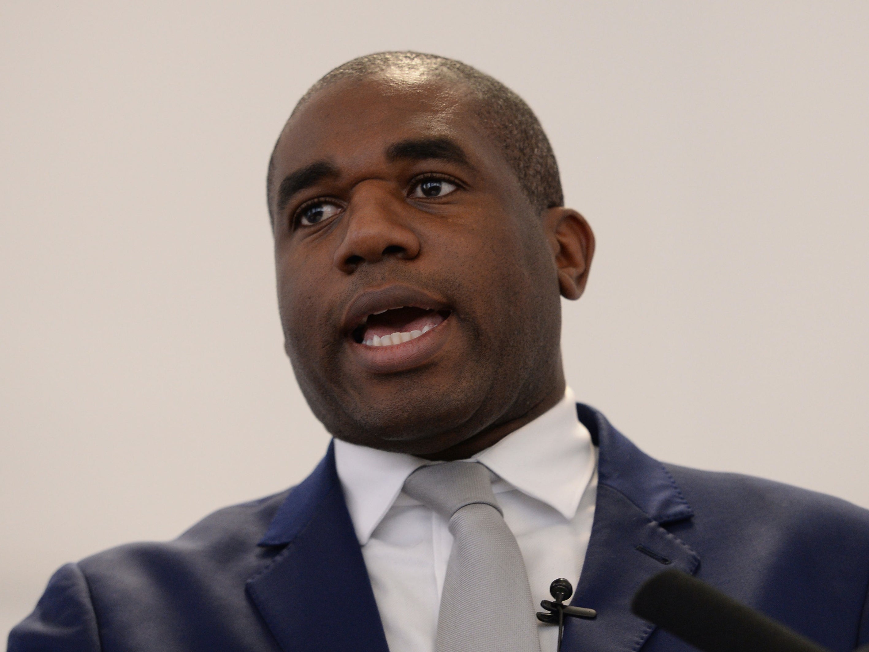 Labour shadow justice secretary David Lammy