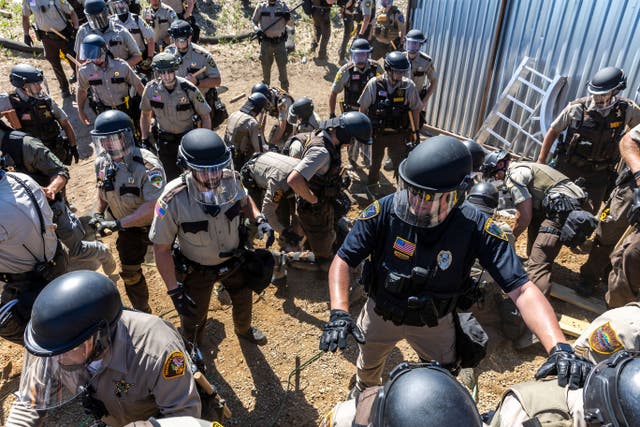 <p>An activist fighting the Line 3 oil pipeline in northern Minnesota shared photos on Monday of wounds she received from rubber bullets.</p>