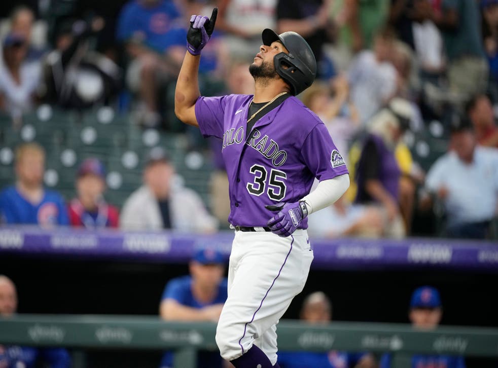 CACHORROS-ROCKIES