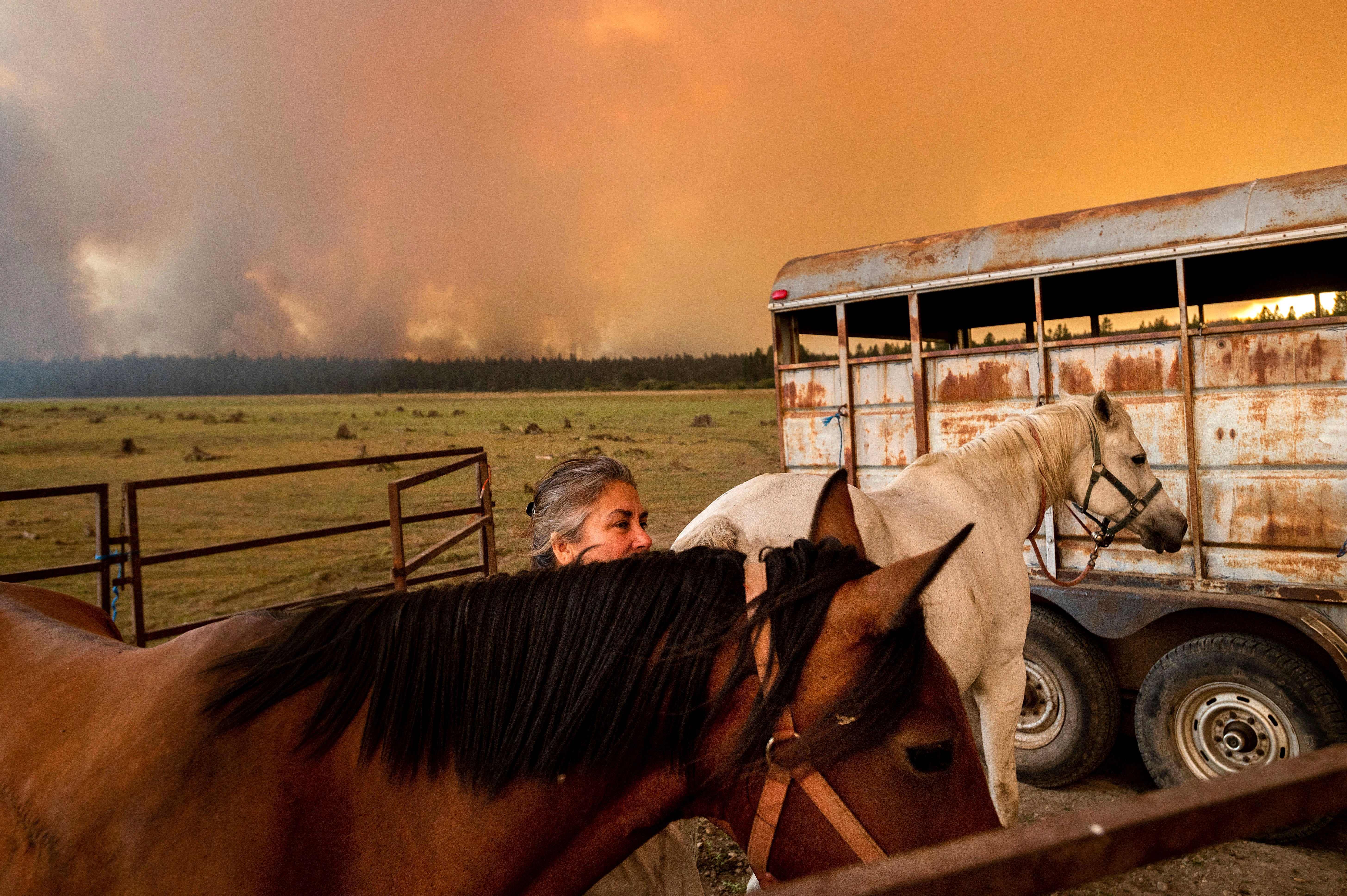 California Wildfires