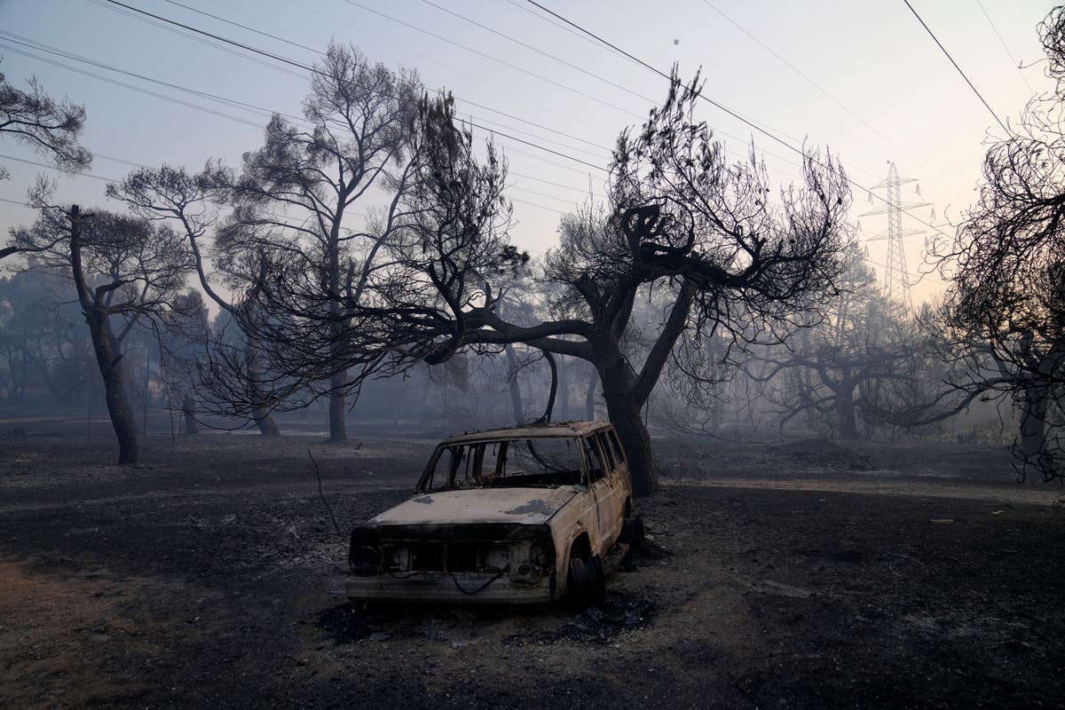 Firefighting planes resume flights over fire north of Athens