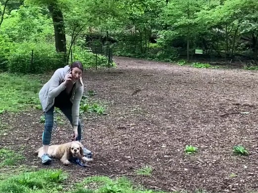 Video of the viral incident in Central Park, New York, in which Amy Cooper (pictured) phoned 911 on a Black bird watcher