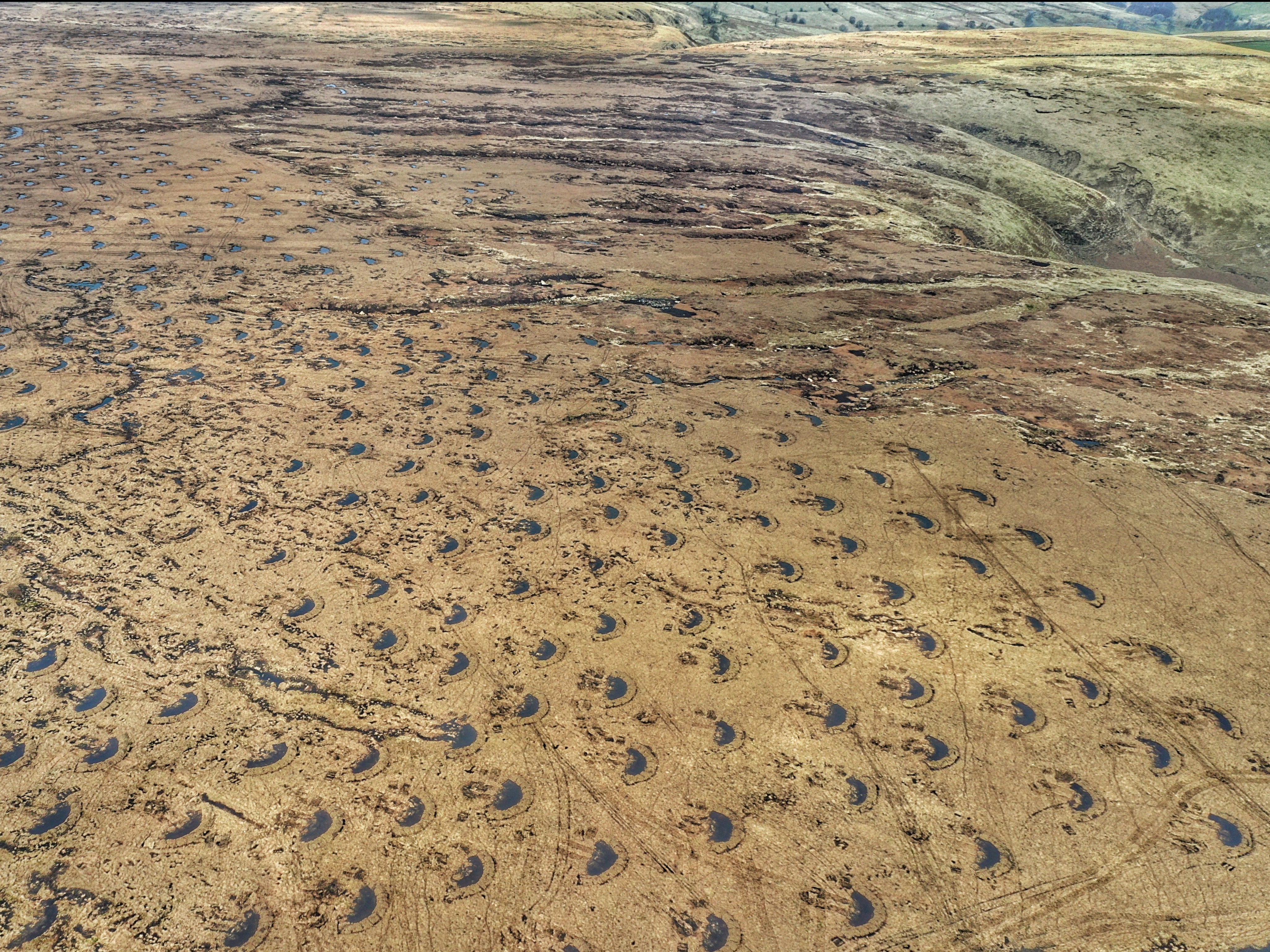 Aerial view of Halcombe Moor, near Manchester, where thousands of ‘peat bunds’ are visible