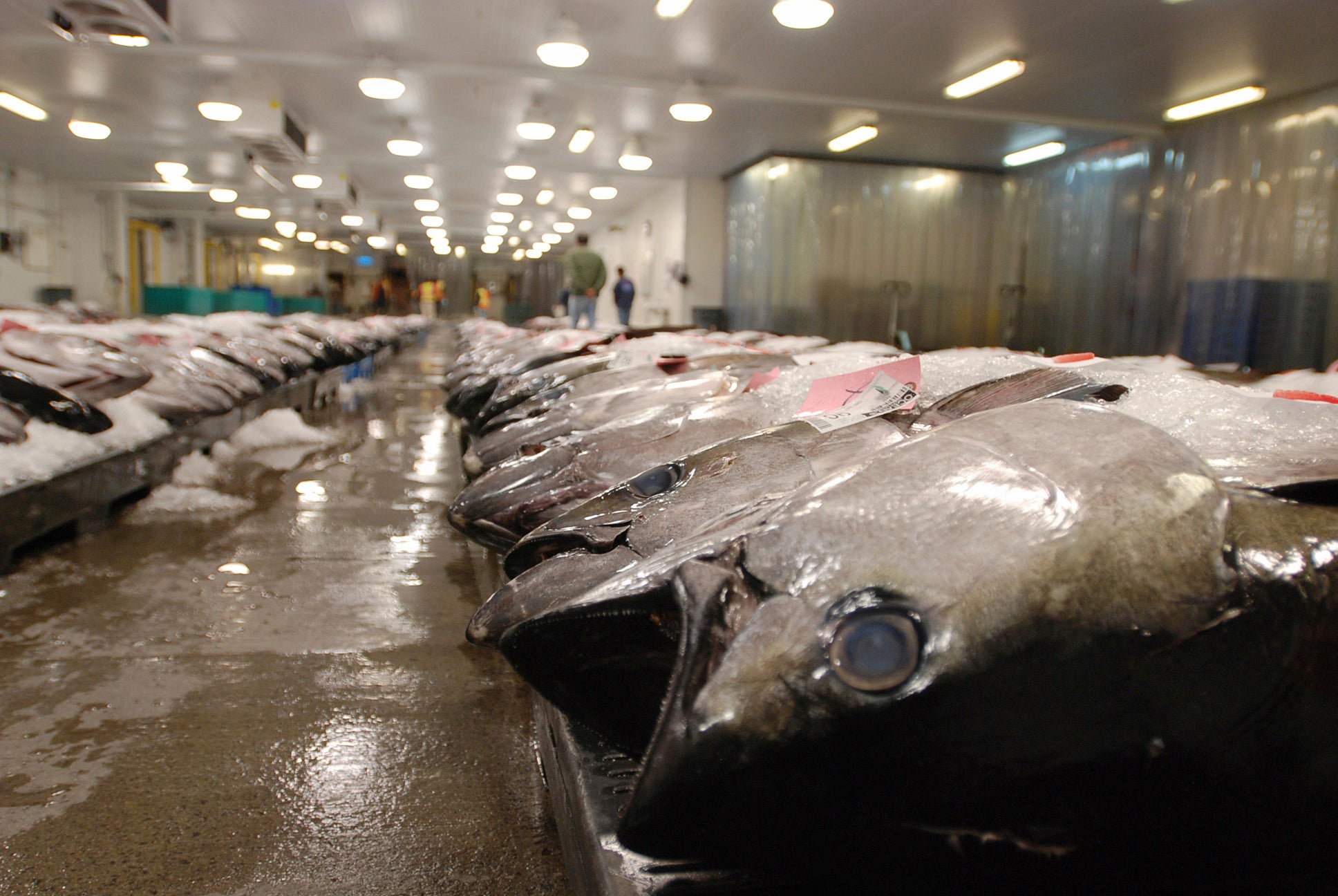 Forced Labor Fishing