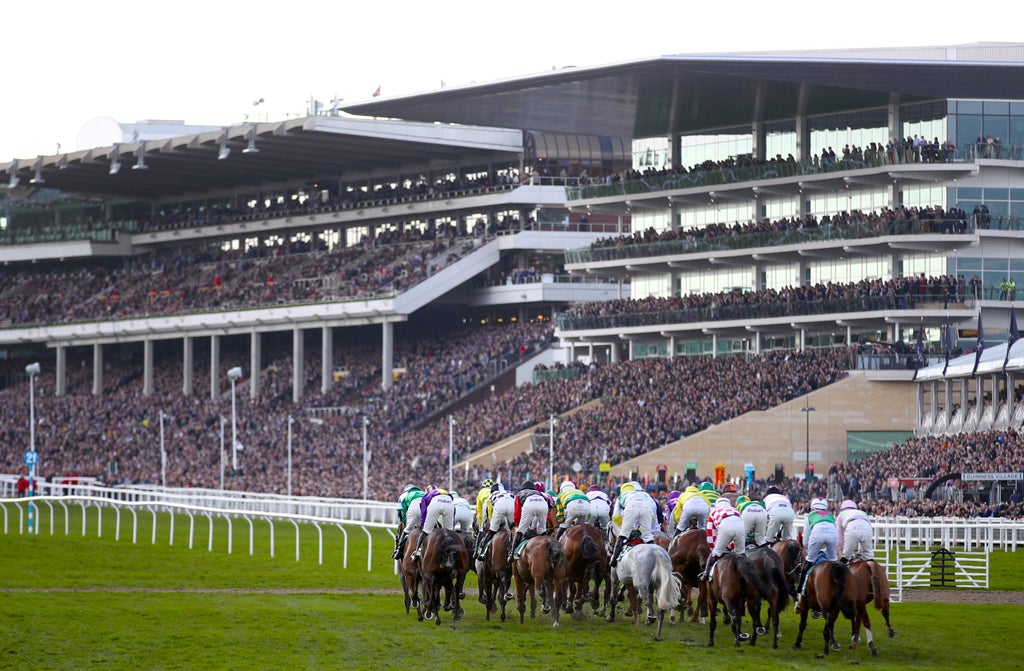 Cheltenham Festival live: How to watch every race online and on TV