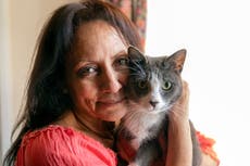 California spending billions to house homeless in hotels