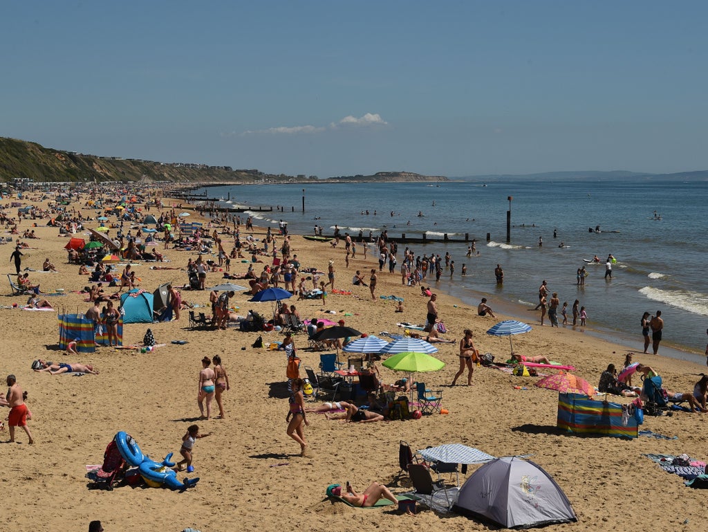 Dorset shark scare: Swimmers ordered out of sea at busy beach
