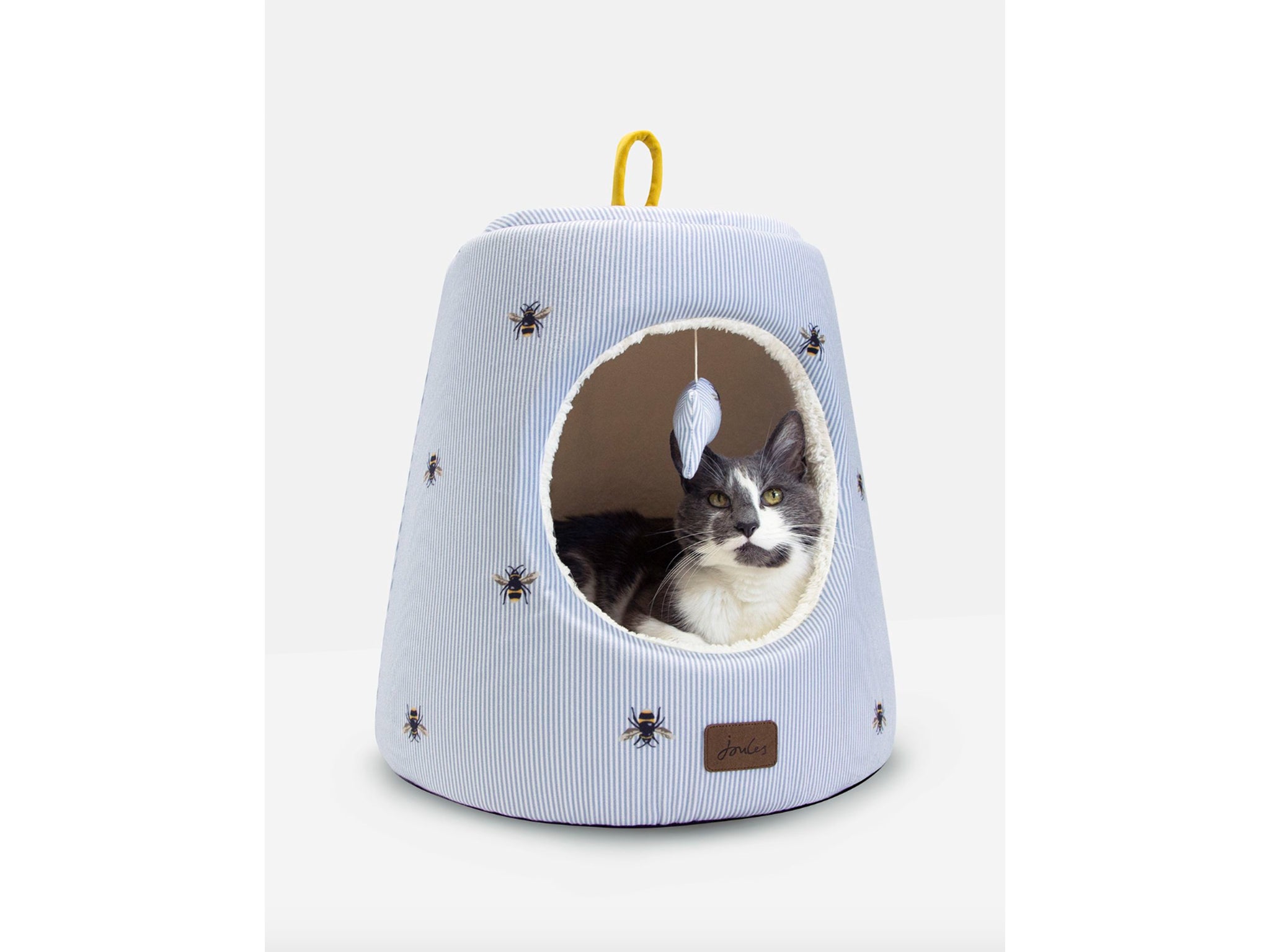 funky cat beds uk