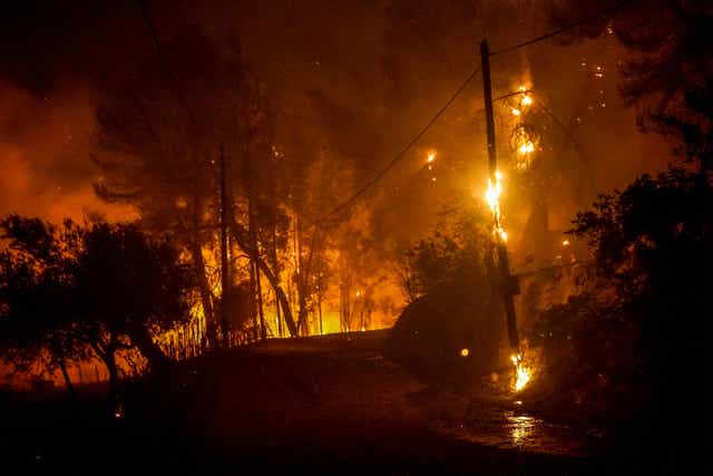 <p>Flames engulf the forest near Ancient Olympia in Greece</p>