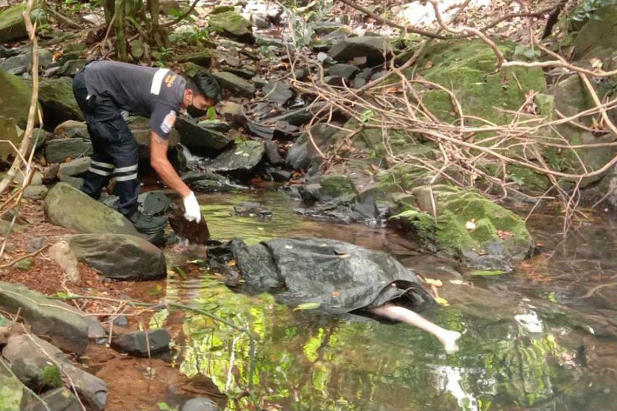Thai officials raise security after Swiss woman found dead