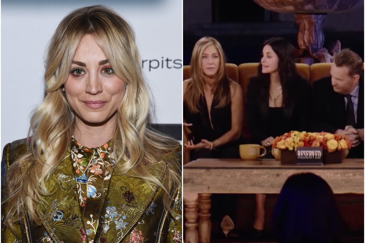 Kaley Cuoco wants The Big Bang Theory cast to have a Friends-style ...