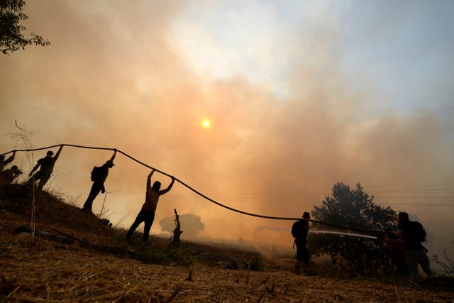 <p>Firefighters and volunteers try to extinguish a wildfire in Agios Stefanos, northern Athens</p>