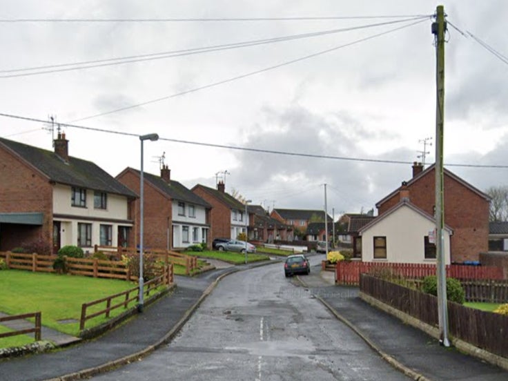 Girl was hospitalised from an unspecified address in Park Avenue, Dungannon (road pictured)