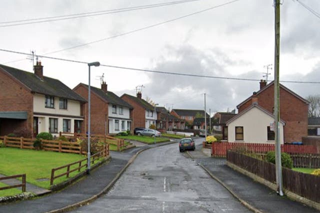 <p>Girl was hospitalised from an unspecified address in Park Avenue, Dungannon (road pictured)</p>