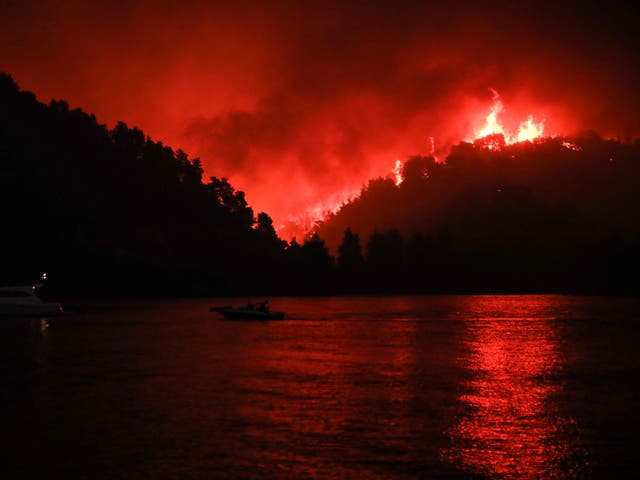 <p>Flames rise as a wildfire burns in Limni, on the island of Evia, Greece, </p>