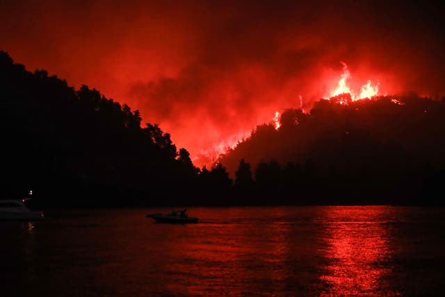 <p>Flames rise as a wildfire burns in Limni, on the island of Evia, Greece, </p>