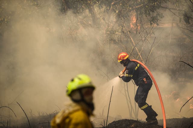 <p>A firefighter tackles a blaze in the Ipokratios Politeia area in northern Athens on Saturday</p>