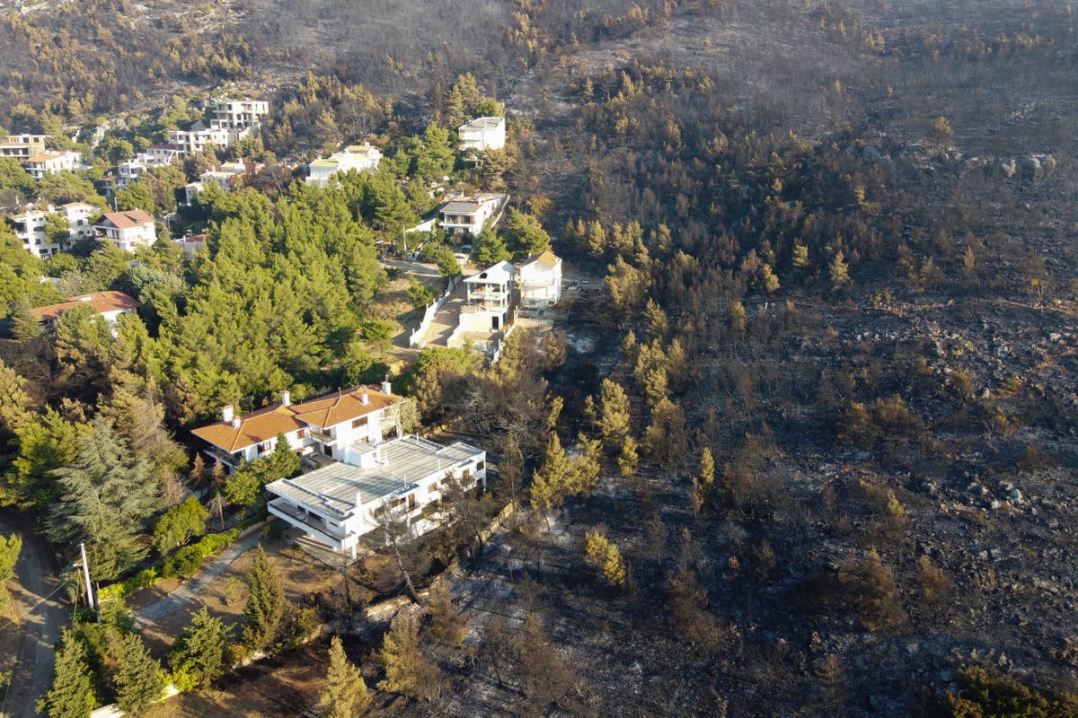 Greek firefighters battle huge wildfires with reinforcements