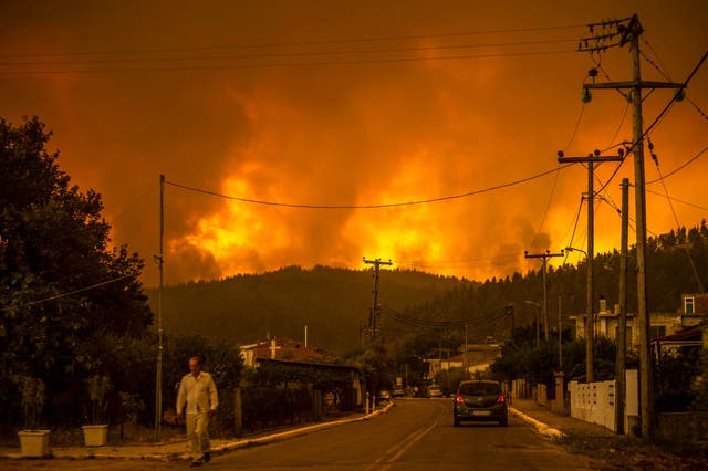 <p>Wildfires rage near the village of Gouves, on Evia</p>