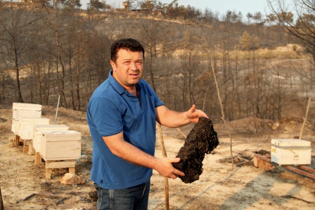 <p>Guven Karagol saw the majority of his beehives destroyed by the wildfires</p>
