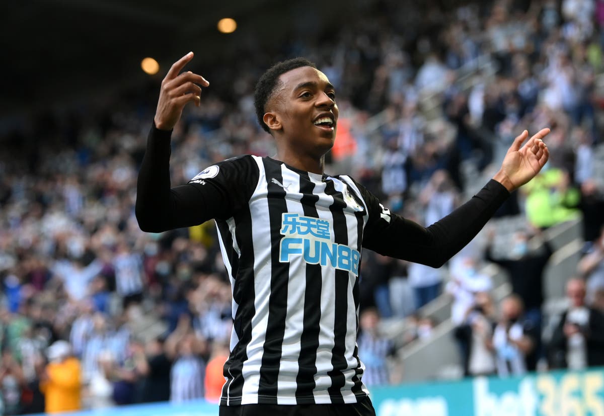 Joe Willock set for Newcastle return