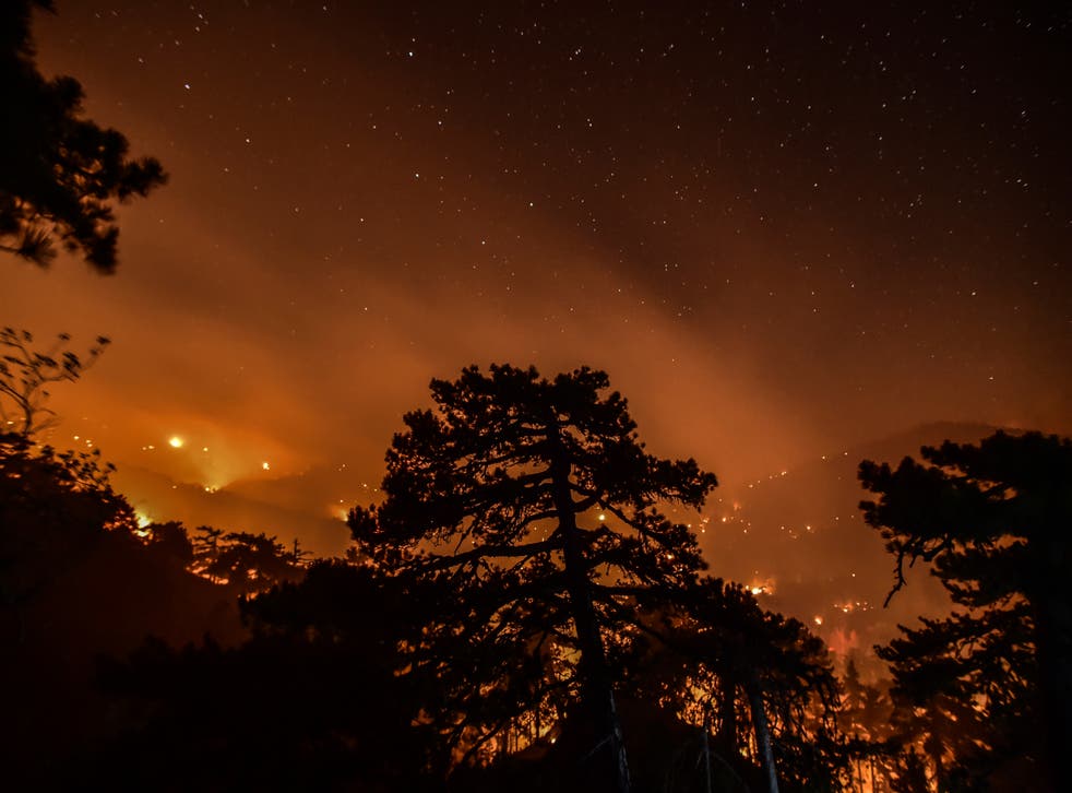 TURQUIA INCENDIOS ABEJAS
