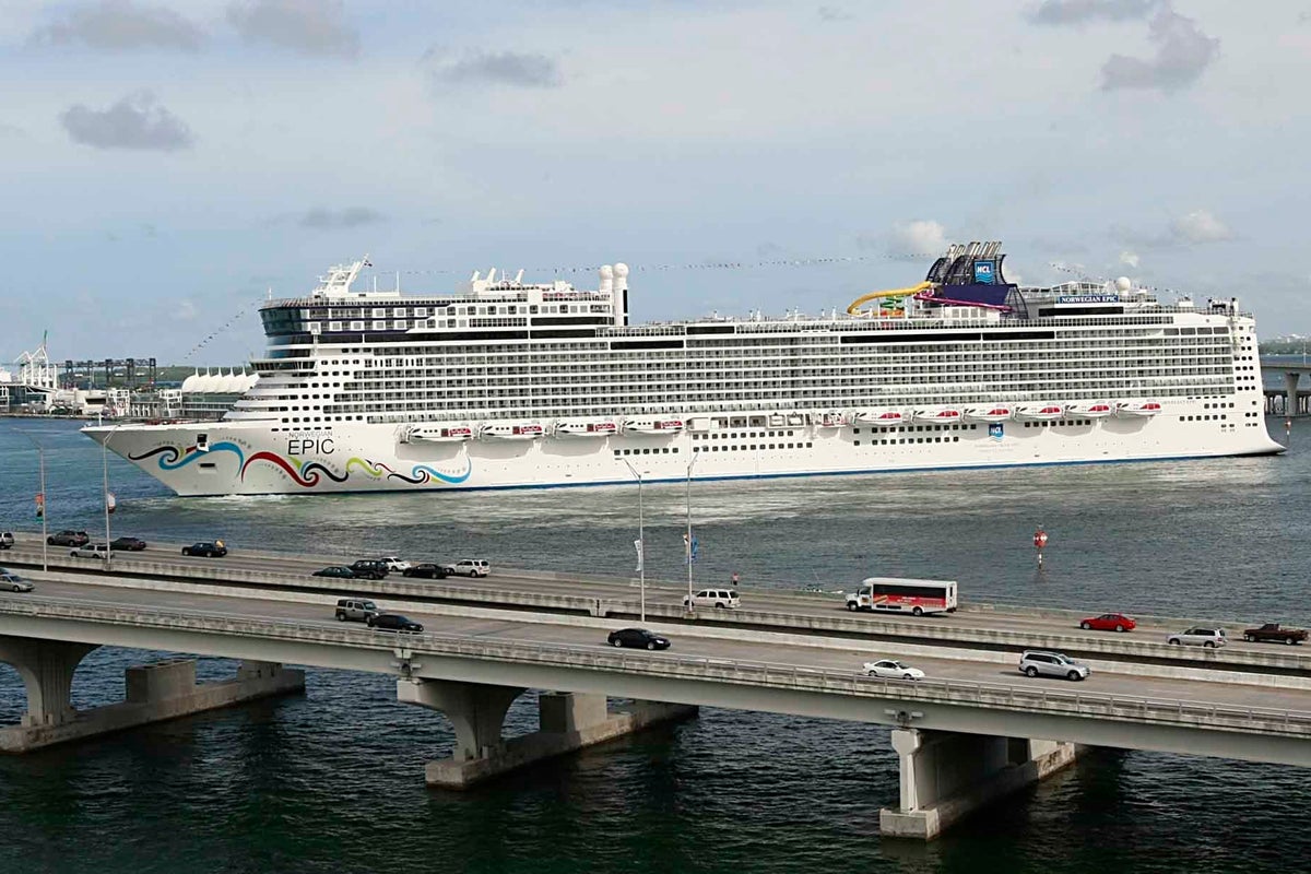 Cruise passenger rescued after being blown into water during strong winds