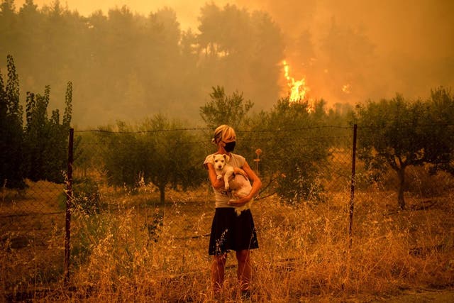 <p>Grecia y Turquía lucharon contra incendios devastadores durante casi dos semanas, ya que la región sufrió su peor ola de calor en décadas, que los expertos han relacionado con el cambio climático.</p>