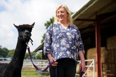 Stanley Johnson urges PM son to stop ‘murder’ of Geronimo the alpaca