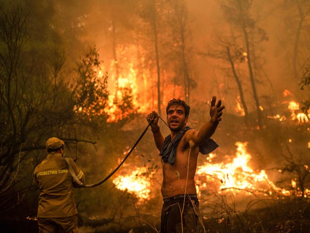 <p>A local resident on the Greek island of Evia holds a water hose during catastrophic wildfires in  August </p>