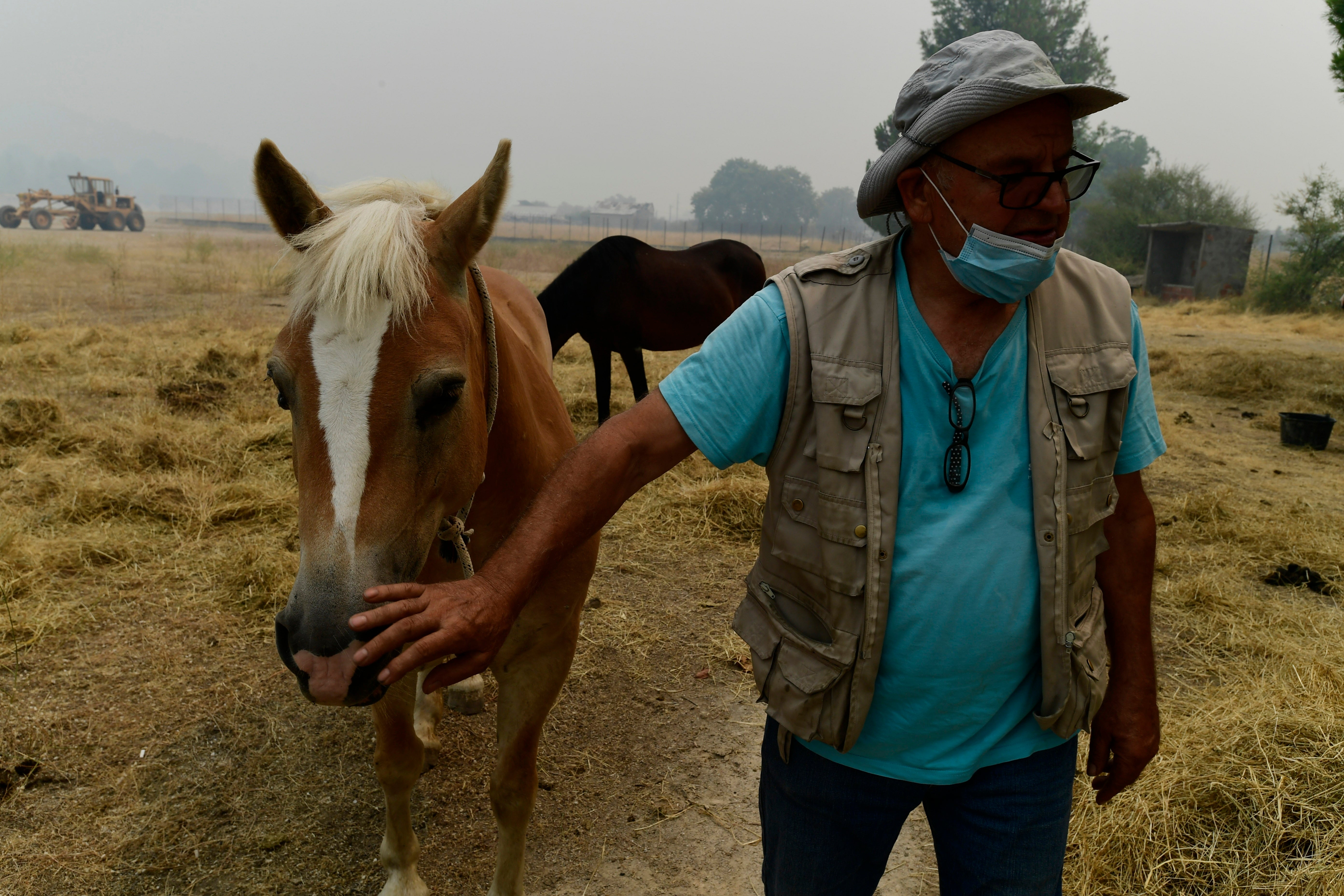 A man touches a horse as the smoke of a wildfire spreads over a mountain in Ellinika village on Evia island