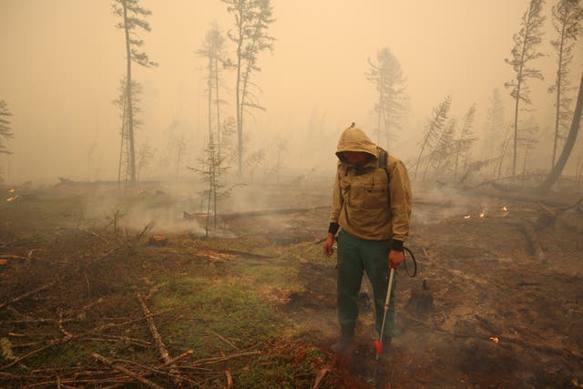 <p>A specialist of the local forest protection service works to extinguish a forest fire near the village of Magaras in the region of Yakutia</p>