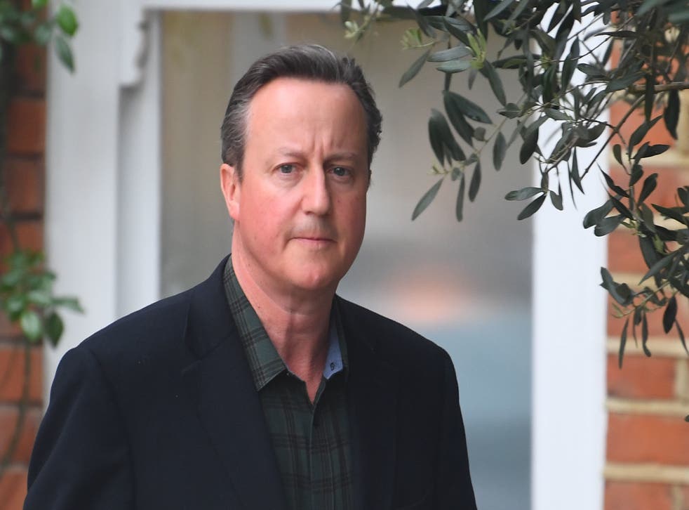 <p>Cameron was paid $1m a year as a part-time ‘adviser’</p>