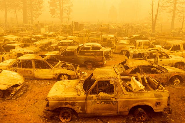 <p>Dozens of burned vehicles rest in heavy smoke during the Dixie fire in Greenville, California on 6 August 2021</p>