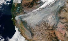 Planes can no longer fly over Dixie Fire smoke plume as it climbs to 22,000 feet